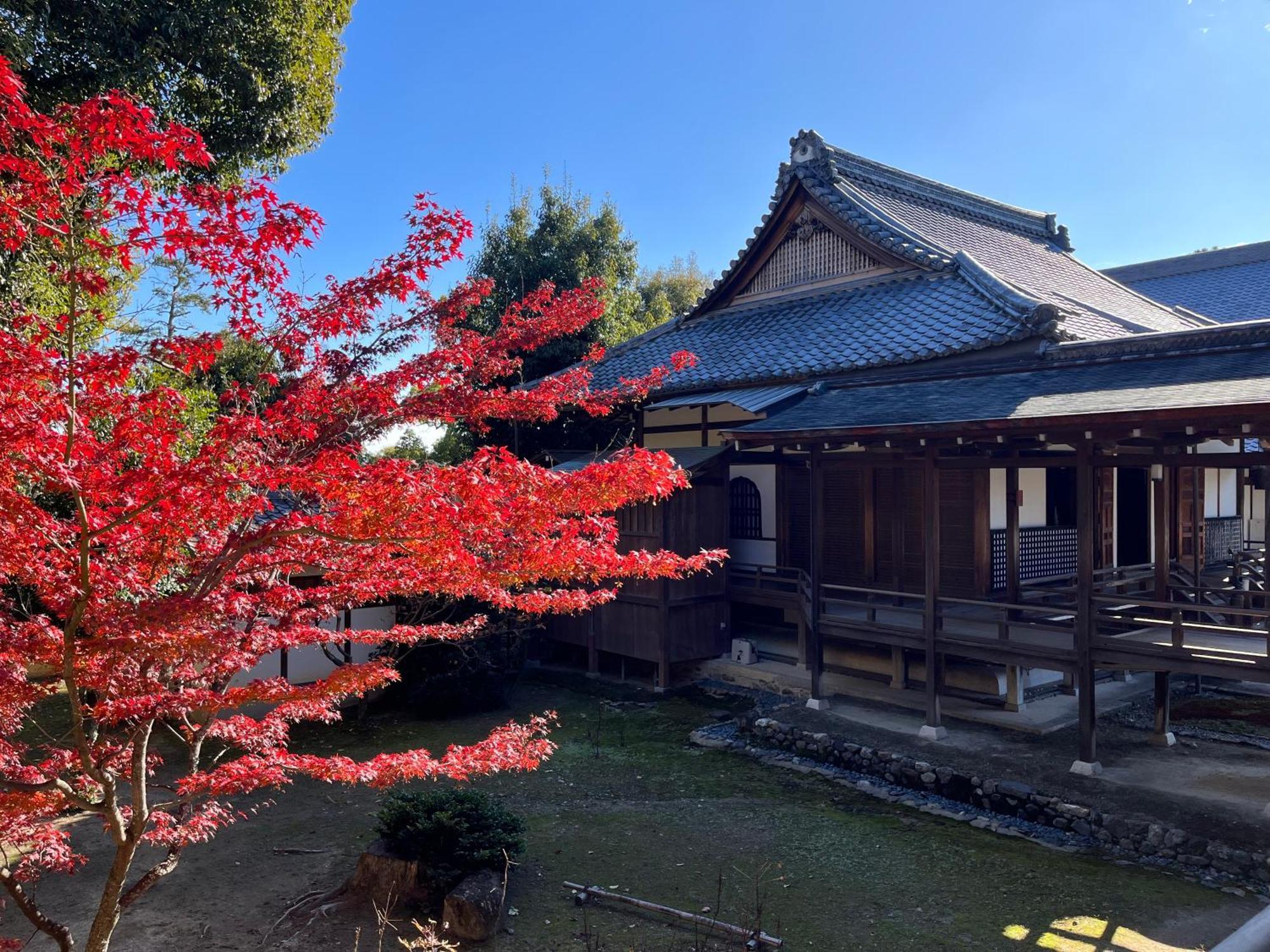 嵐山 天龍の宿 駐車無料 一棟貸切 最大5人 Dragon Legend Arashiyama Central Private Rare Modern Villa Free Parking Max 5Ppl Shimo-saga المظهر الخارجي الصورة
