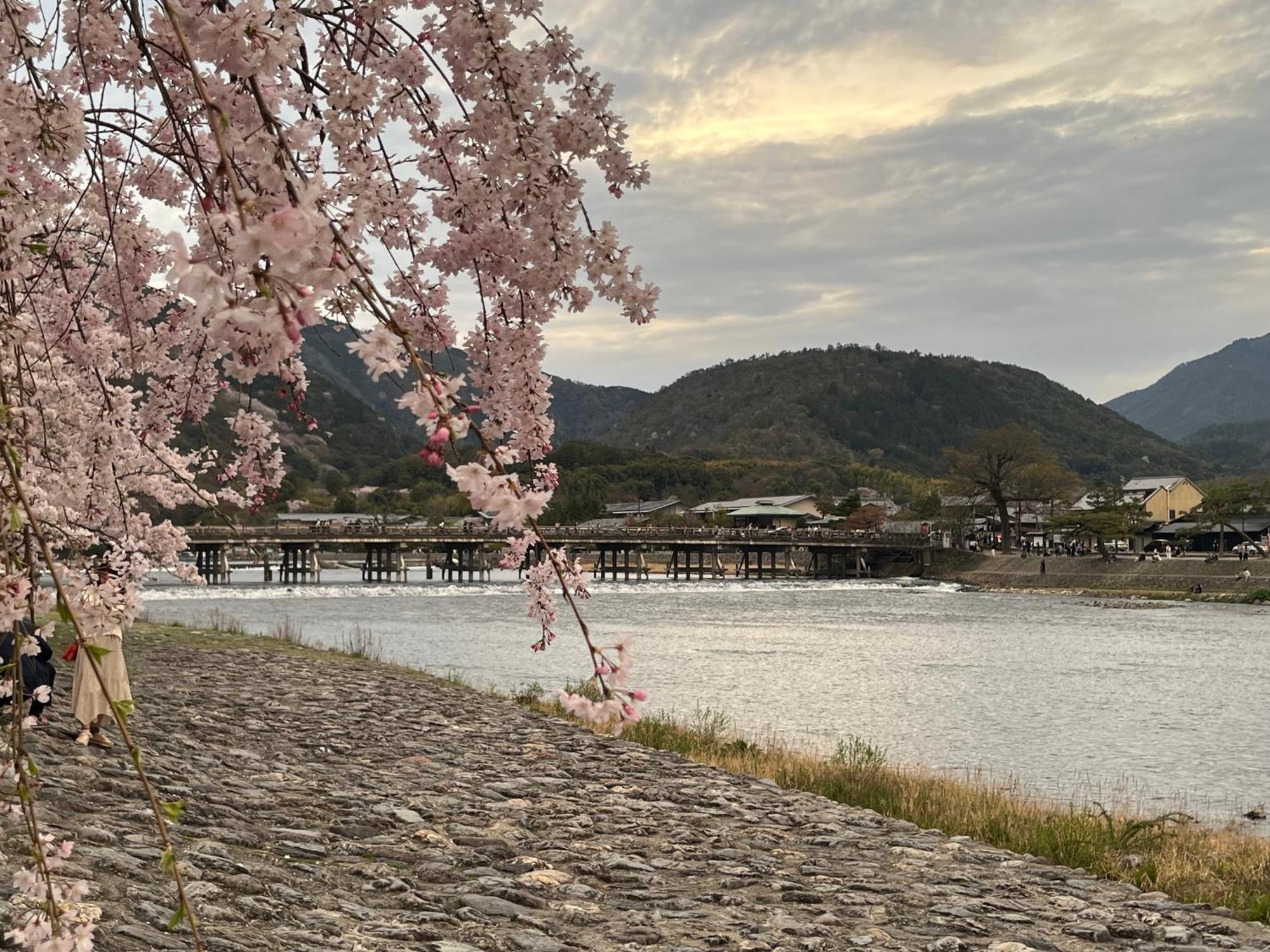 嵐山 天龍の宿 駐車無料 一棟貸切 最大5人 Dragon Legend Arashiyama Central Private Rare Modern Villa Free Parking Max 5Ppl Shimo-saga المظهر الخارجي الصورة